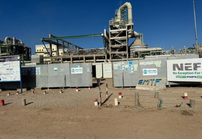 Projet phare : Green Ammonia Pilot Project (GAPP)